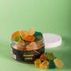 Full Spectrum CBD Gummy Bears (Day Time 500 mg) - Image 4